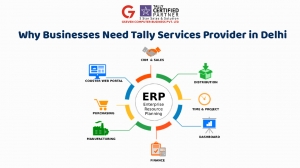 Why Businesses Need Tally Services Provider in Delhi - Gseven 